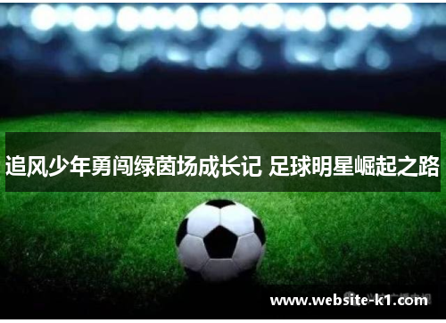追风少年勇闯绿茵场成长记 足球明星崛起之路 追风少年勇闯绿茵场成长记 足球明星崛起之路